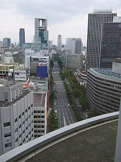 画像を等倍で表示します 画像