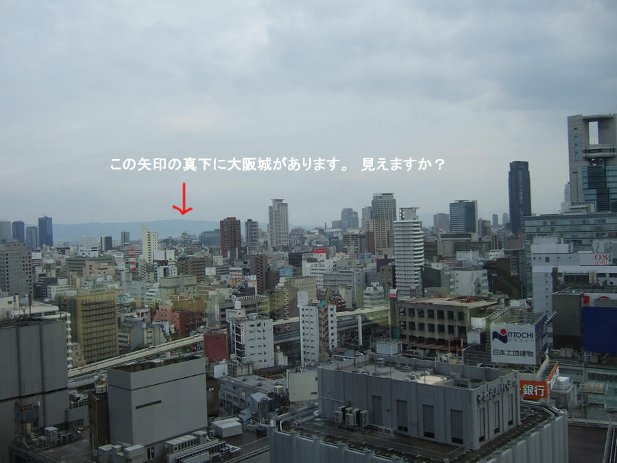 画像を等倍で表示します 画像