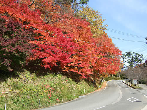 輪島 一本松公園の紅葉 – Blog 輪島塗の風景
