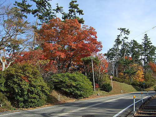 輪島 一本松公園(3)