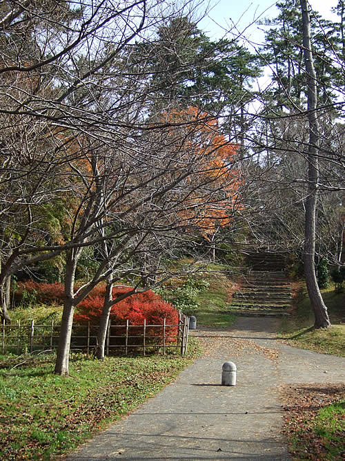 輪島 一本松公園(15)