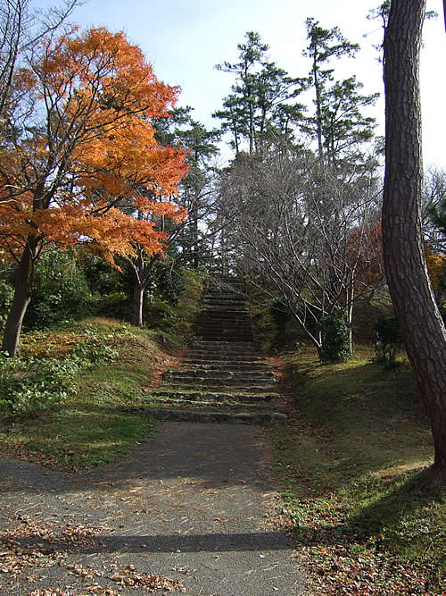 輪島 一本松公園(16)