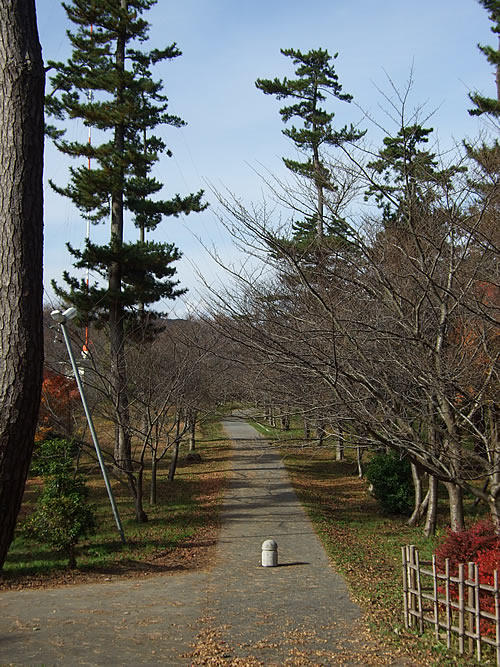 輪島 一本松公園(14)