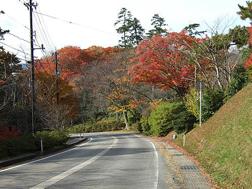 輪島 一本松公園(18)