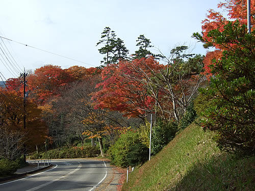輪島 一本松公園(19)