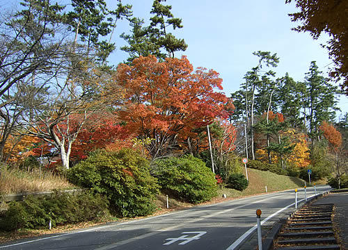 輪島 一本松公園(20)