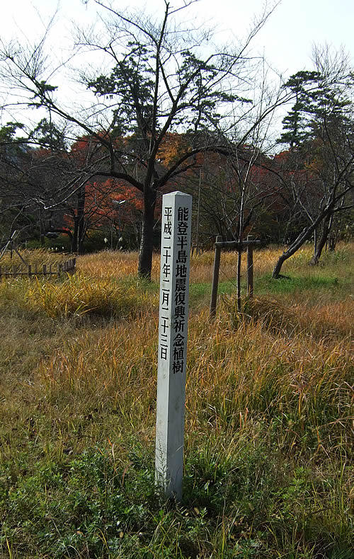 輪島 一本松公園(7)