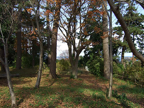 輪島 一本松公園(13）